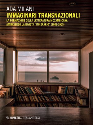 cover image of Immaginari transnazionali